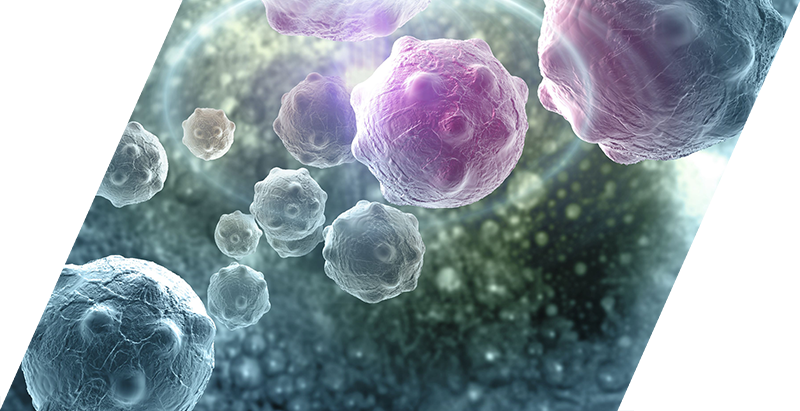 MV BioTherapeutics ApyraMed