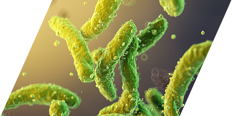 MV BioTherapeutics ApyraVax