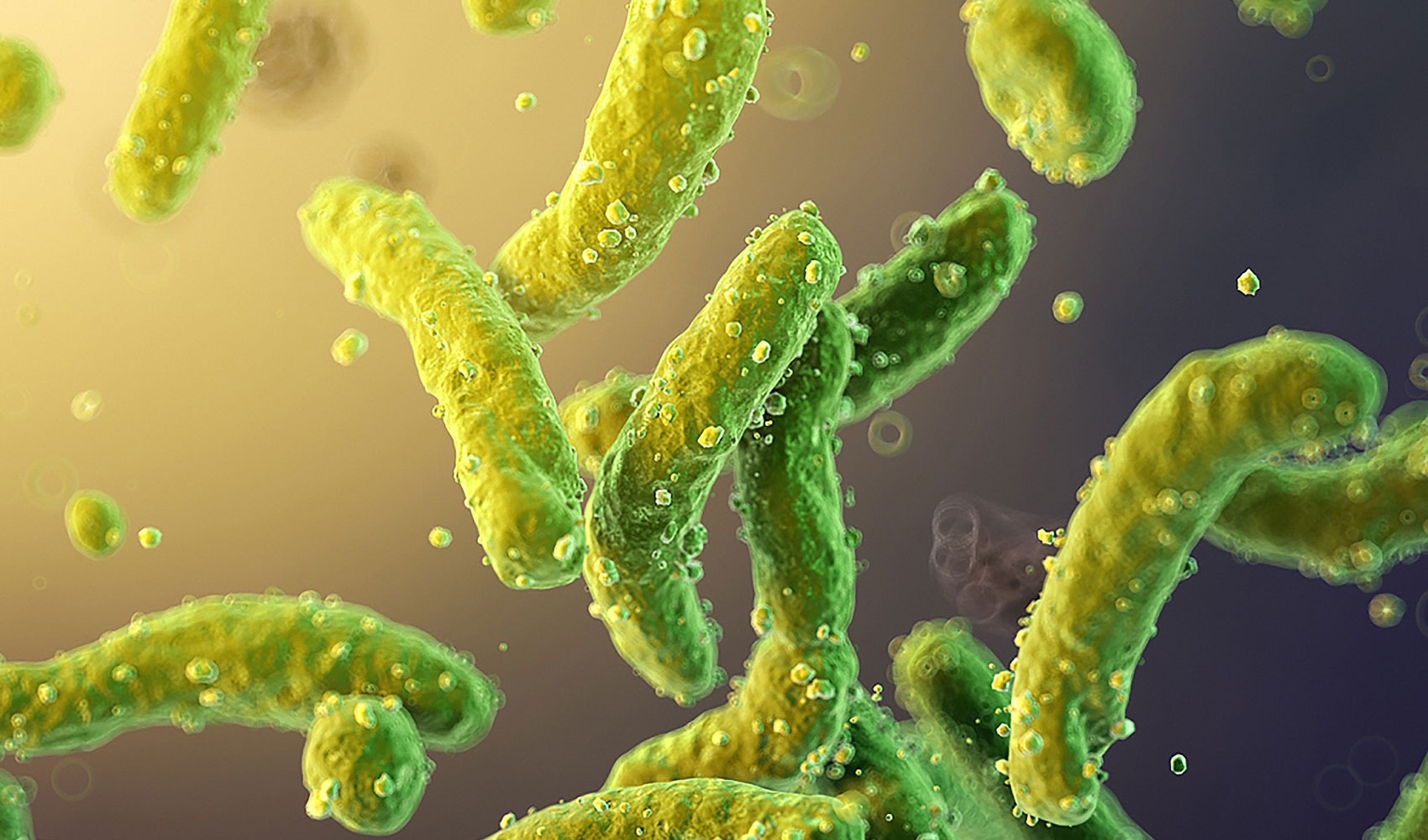 MV BioTherapeutics ApyraMed ApyraVax