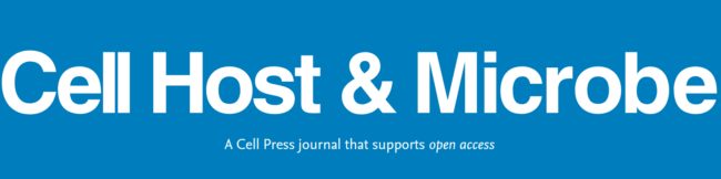 Screenshot 2024-11-28 165018